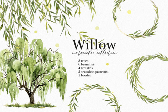 Download Willow Tree Watercolor Clipart - Clipart Collection