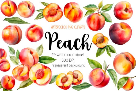 Download Watercolor Peach Clipart Bundle PNG - Clipart Collection