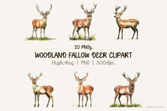 Download Woodland Fallow Deer Clipart 20 Png - Clipart Collection