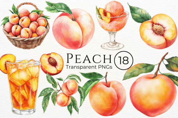 Download Peach Watercolor Cliparts - Clipart Collection