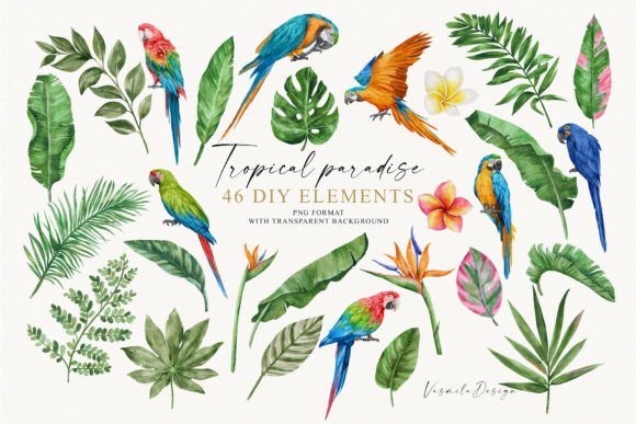 Download Watercolor Tropical Clipart - Clipart Collection
