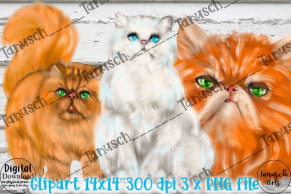Download Watercolor PERSIAN Cat Clipart Png - Premium Resources