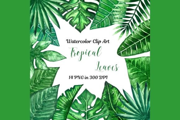 Download Jungle Clipart Palm Leaves Banana Leaves - Clipart Collection