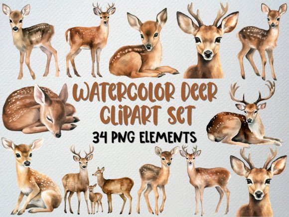 Download Watercolor Deer Clipart Set, 34 PNG - Clipart Collection