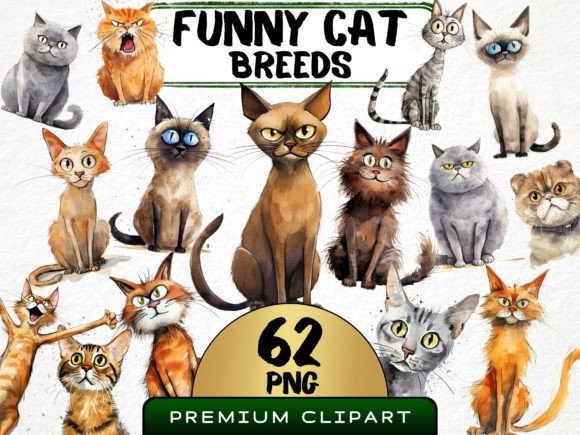 Download Funny Cat Breeds Clipart Bundle - Clipart Collection