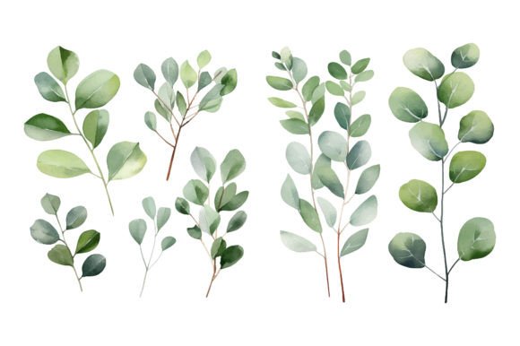 Download Baby Blue Watercolor Eucalyptus Clipart - Clipart Collection