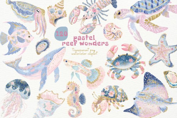 Download Pastel Reef Wonders PNG Clipart - Clipart Collection